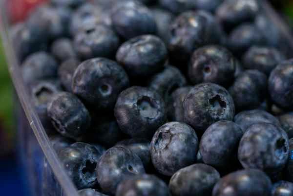 Fresh organic blueberries in 6 oz retail packs