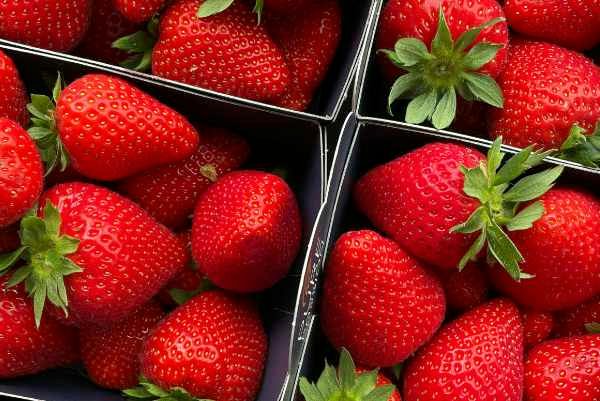 Packaged strawberries in boxes.